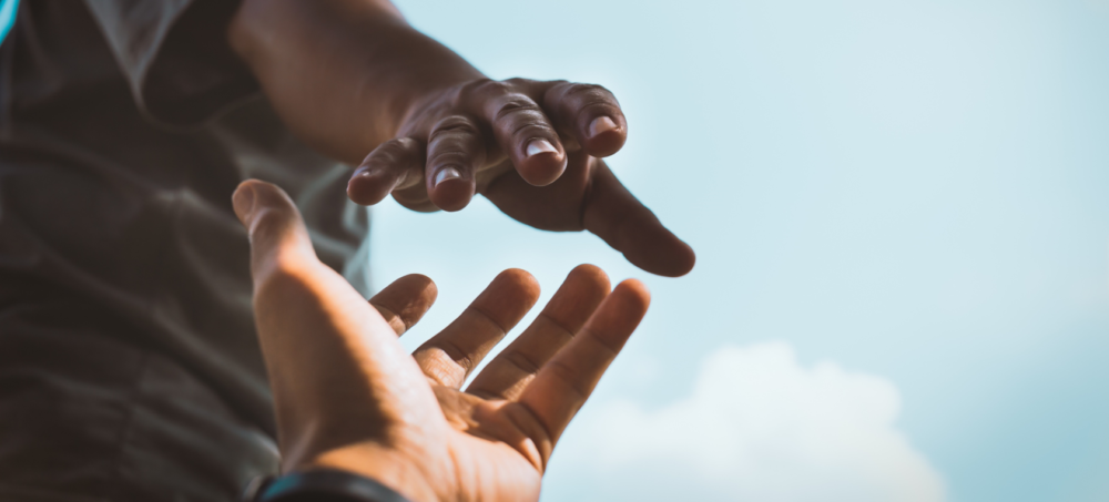 La Fondation MNH dévoile les noms des lauréats de son appel à projets !